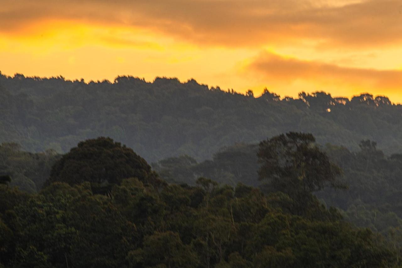 Gorilla Safari Lodge Rubuguli Экстерьер фото
