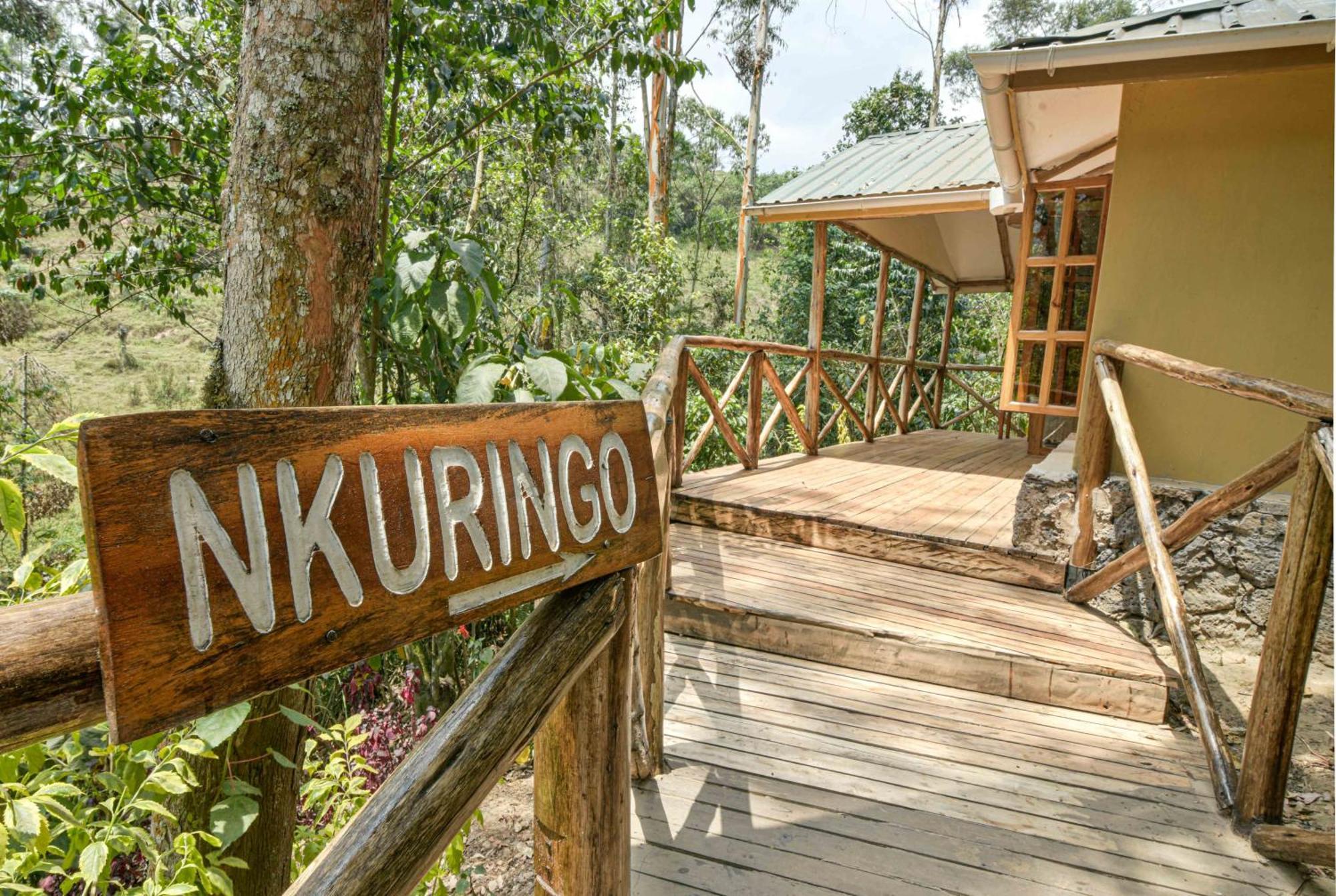 Gorilla Safari Lodge Rubuguli Экстерьер фото