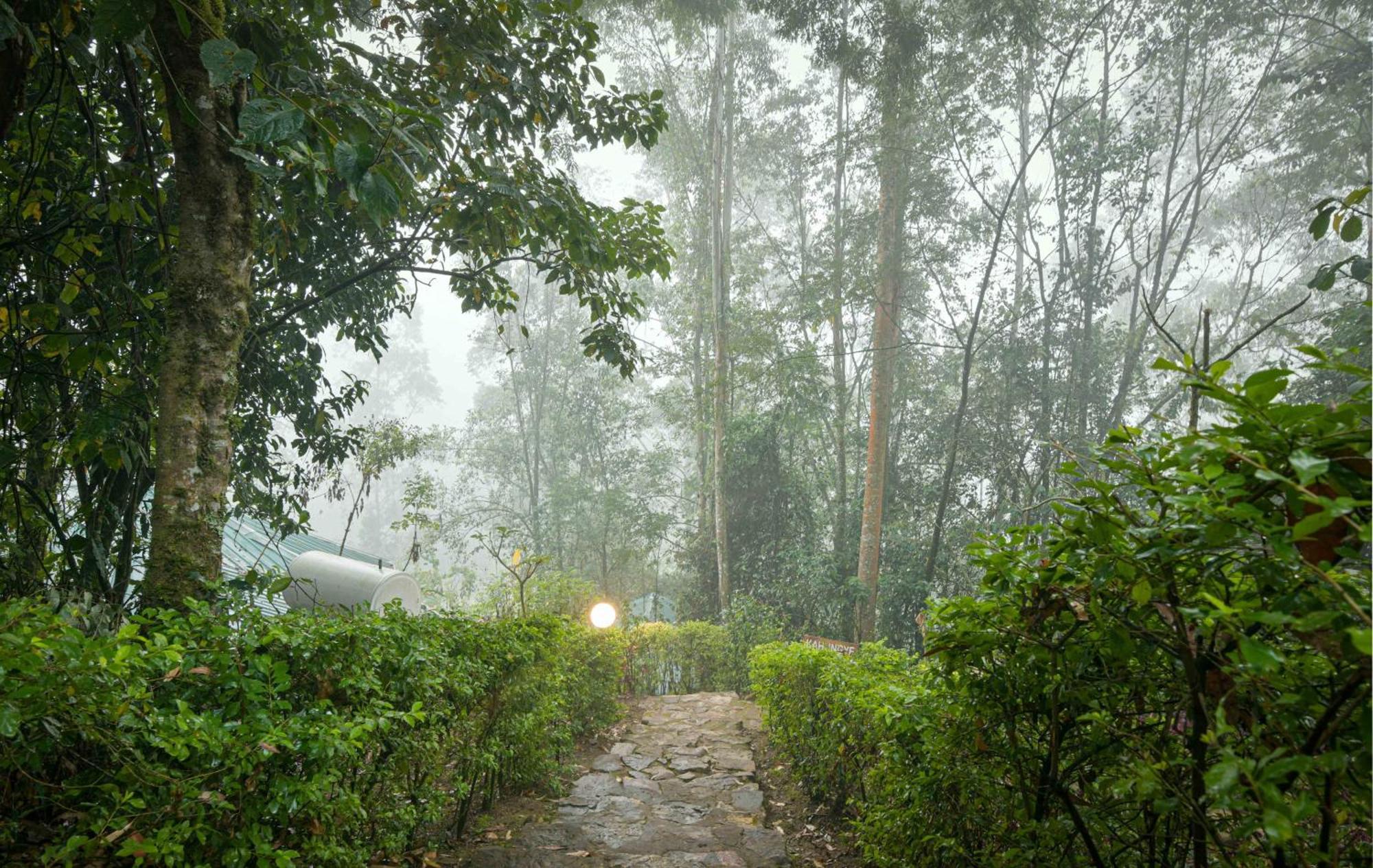 Gorilla Safari Lodge Rubuguli Экстерьер фото