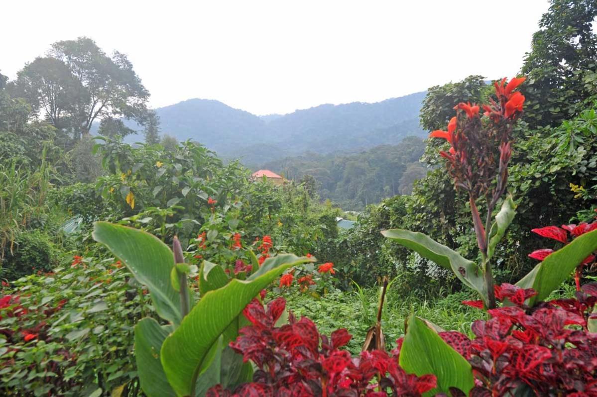 Gorilla Safari Lodge Rubuguli Экстерьер фото